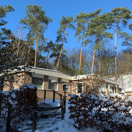 Het Fazantenbosje Vila Dalfsen Exterior foto