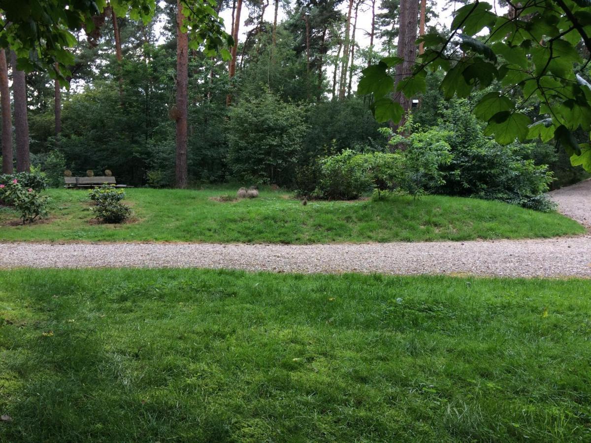 Het Fazantenbosje Vila Dalfsen Exterior foto